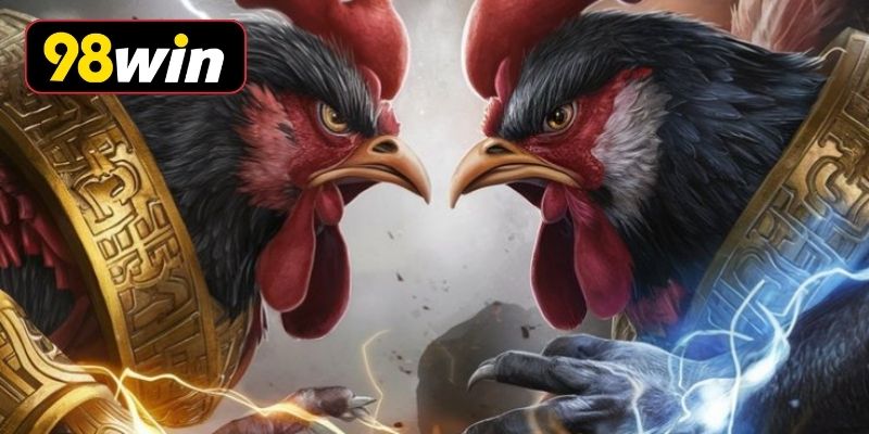 Bí kíp chọn chiến kê và cách đặt cược hiệu quả