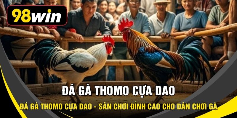 Đá Gà Thomo Cựa Dao - Sân Chơi Đỉnh Cao Cho Dân Chơi Gà